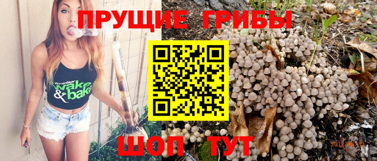 Галлюциногенные грибы прущие грибы Строитель