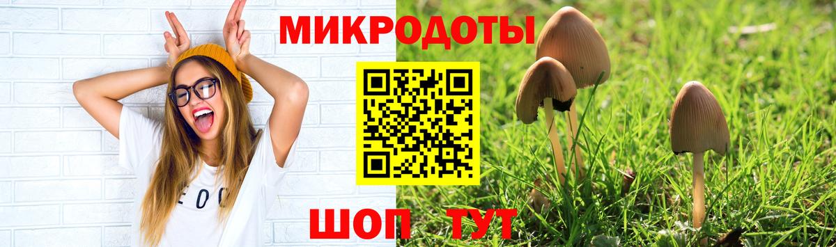 где купить наркоту  Галлюциногенные грибы MAGIC MUSHROOMS  Псилоцибиновые грибы Magic Shrooms  Вход с VPN  Строитель 