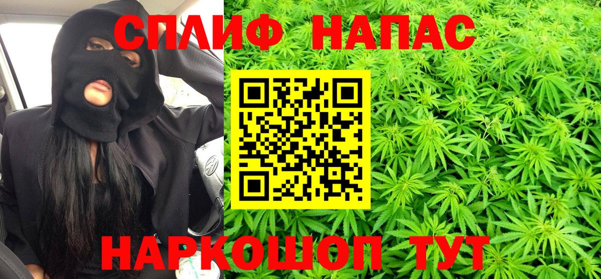 Бошки Шишки SATIVA & INDICA  Конопля тримм  МАРИХУАНА тримм  Строитель  Вход с VPN  МАРИХУАНА планчик 